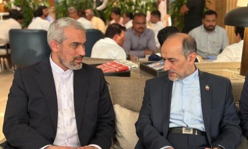 وزیر اقتصاد وارد هند شد/ ادامه دیپلماسی اقتصادی ایران در بریکس