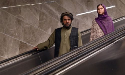 مرد-آرام-مهدی-هاشمی