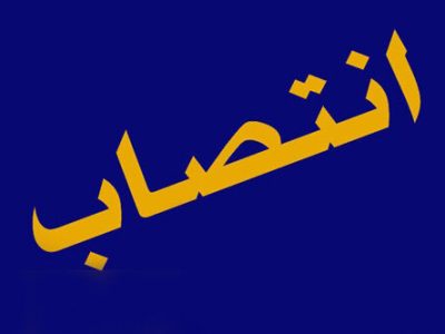 مدیرعامل نیکو منصوب شد