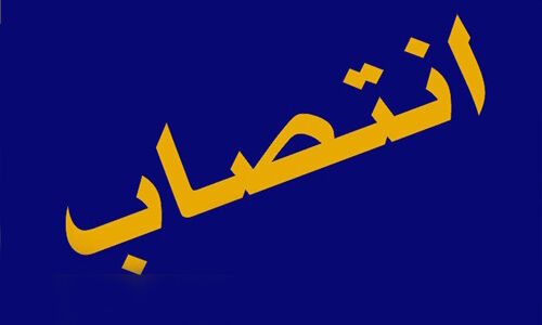 مدیرعامل نیکو منصوب شد