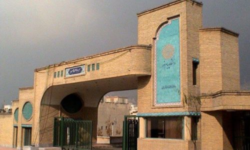 افزایش-۱۲۵-درصدی-رشته