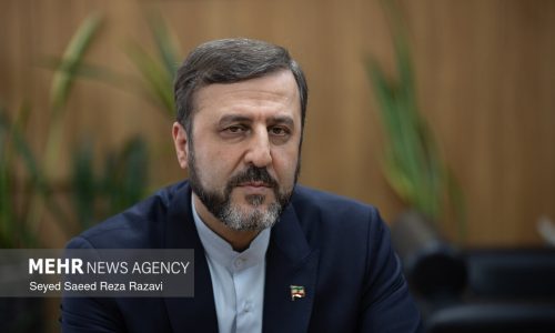 واکنش غریب‌آبادی به وعده آمریکا برای اقدام علیه دیوان بین‌المللی