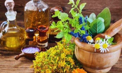 پیوند ظرفیت‌های علمی جهان اسلام برای توسعه فناوری‌های گیاهان دارویی