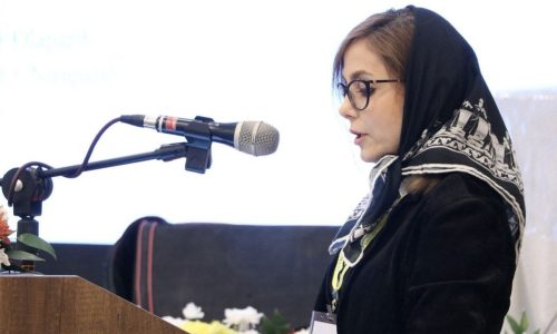 دکتر نافه نوربخش با شماره نظام پزشکی ۱۴۳۵۳۷، دارای بورد تخصصی بیماری‌های داخلی از دانشگاه علوم پزشکی شهید بهشتی و فلوشیپ و بورد فوق‌تخصصی خون و سرطان بزرگسالان از دانشگاه علوم پزشکی تهران است. حوزه فعالیت وی شامل تشخیص و درمان بیماری‌های خونی، سرطان‌های مختلف، بیماری‌های مغز استخوان و همچنین مشاوره و درمان در حوزه پیوند سلول‌های بنیادی خون‌ساز است.